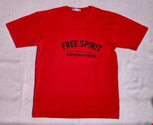 تیشرت مردانه کد ۹۰ طرح free spirit